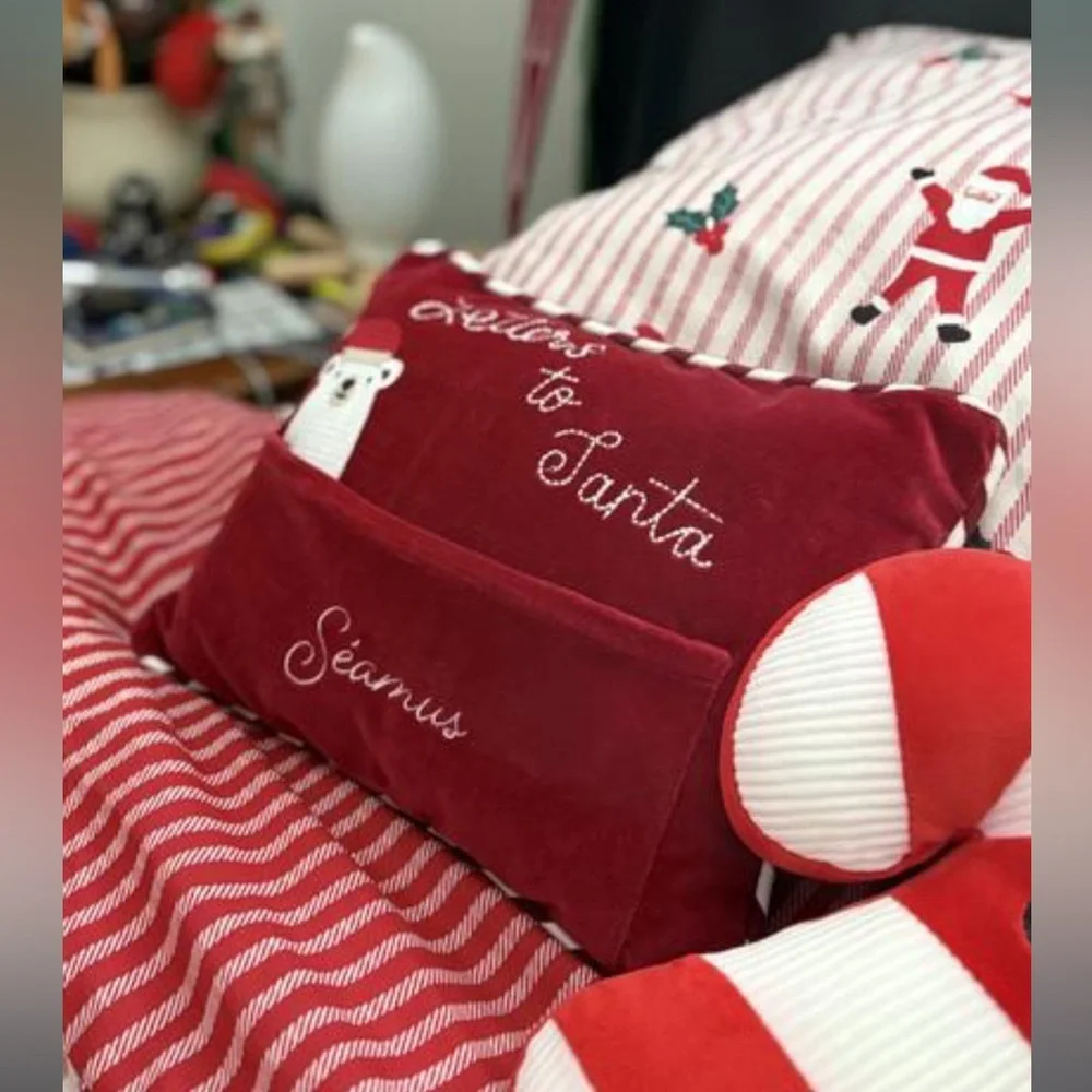 Crate&Barrel Letters to Santa with Envelope Velvet Kids Christmas Throw Pillow